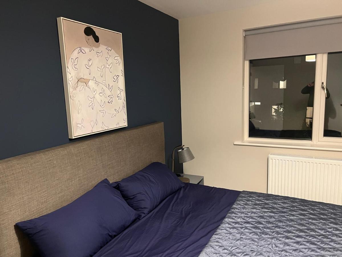 3 Bed Rooms Vip Family House Dublin Exterior foto